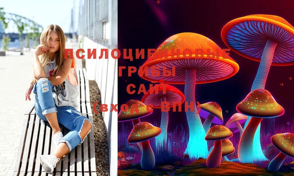 прущий лед Киренск