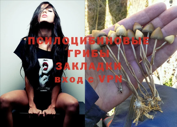 прущий лед Киреевск
