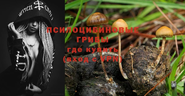 прущий лед Киренск