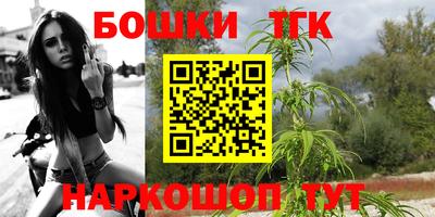 spice Кандалакша