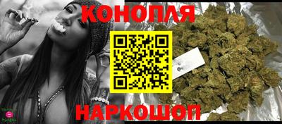 прущие грибы Камышлов