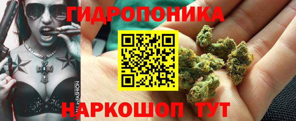 Бошки Шишки VHQ  Канабис тримм  Шишки марихуана гибрид  Северск  Вход с VPN 